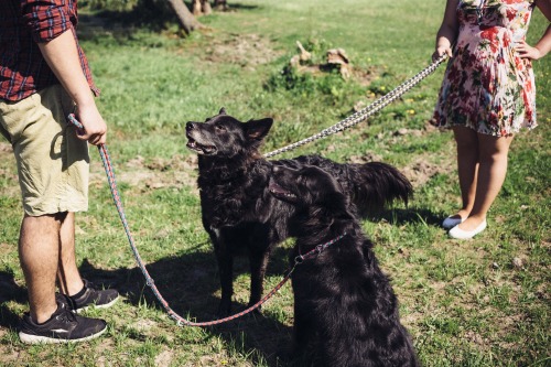 Zwei Hundebesitzende beim Gassigehen © Pixabay