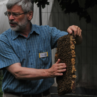 Herr Mages erklärt eine Bienenwabe