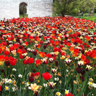 Stadtpark - Impressionen