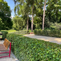 Rosenhügel im Stadtgarten