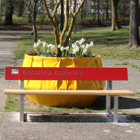 (SÖR) Bank und Blumentopf markieren in der ganzen Stadt ein Projekt des Masterplans Freiraum.