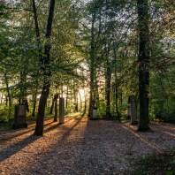 Blick in den Irrhain