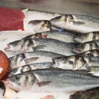 Fischtheke bei "NewSea & Streetfood" in der Ladenzeile am Großmarkt